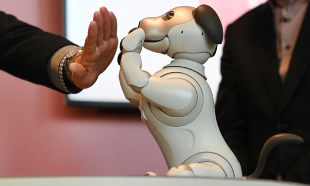 AFP / Kazuhiro NOGI - The Aibo dog comes with a hefty price tag of nearly $3,000