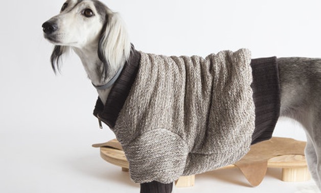 Dog in a dog-a-porter piece - Temellini Milano official website.