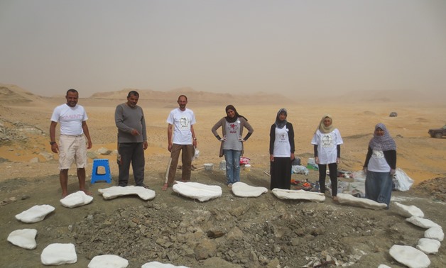 Main Caption: The all-Egyptian field team from the Mansoura University Vertebrate Paleontology initiative that found and collected the new titanosaurian dinosaur Mansourasaurus shahinae with the plaster ‘jackets’ containing the fossil skeleton at the disc