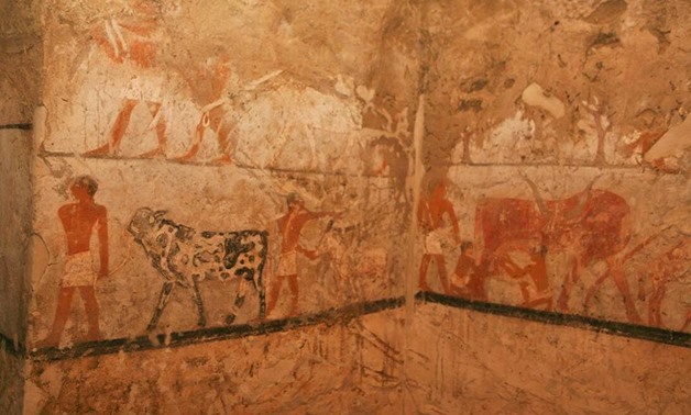 Painting throughout the walls of Hetpet's tomb – photo courtesy of Ministry of Antiquities 