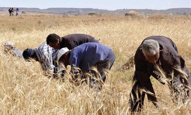 Farming in Eritrea - Africa Development Bank Group
