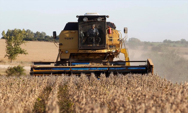 Soybeans are harvested on a farm on the outskirts of San Jose, Uruguay, April 27, 2011. REUTERS/Andres Stapff/File photo/File photo