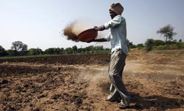 A farmer spreads fertiliser on his field in Satara district, about 285 km (177 miles) south of Mumbai, May 11, 2011. REUTERS/Vivek Prakash/Files
