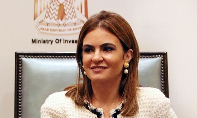 Investment Minister Sahar Nasr - Archive