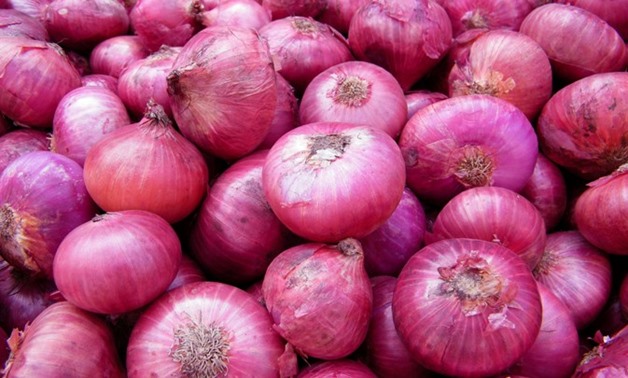 FILE – Onion
