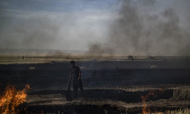 Kurdish official said one of the largest fires consumed almost 350,000 hectares of land. (File/AFP)

