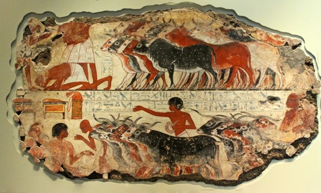 FILE - Egyptology