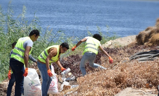 FILE - Youth Love Egypt Foundation's members cleaning Aswan's shores during an event organized in Mövenpick Resort- Press Photo