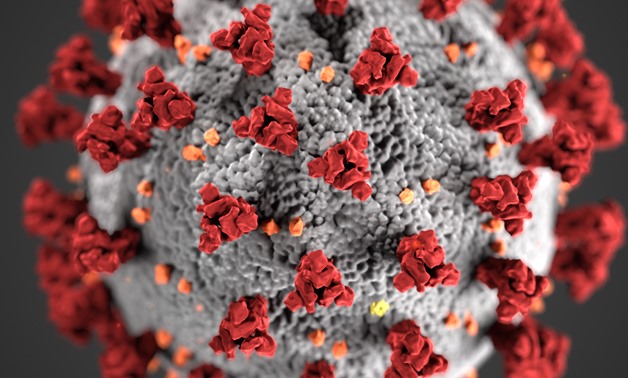 Coronavirus disease (Covid 19)- Photo courtesy of US Department of State