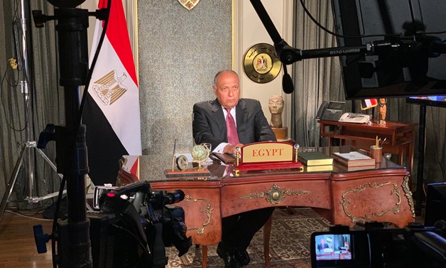 Egyptian Foreign Minister Sameh Shoukry attends the virtual meeting by United Nations Security Council on the GERD on June 29, 2020- Press photo