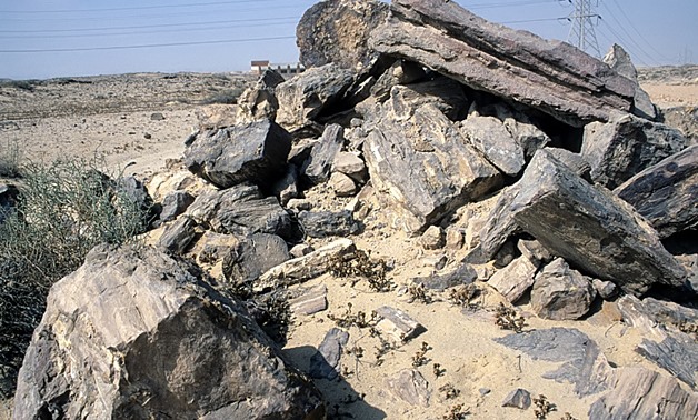 Petrified Forest in Egypt - Creative Commons via Wikipedia