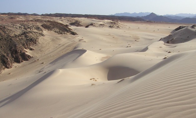 Sand Dunes in Sinai - Fast via Wikimedia Commons