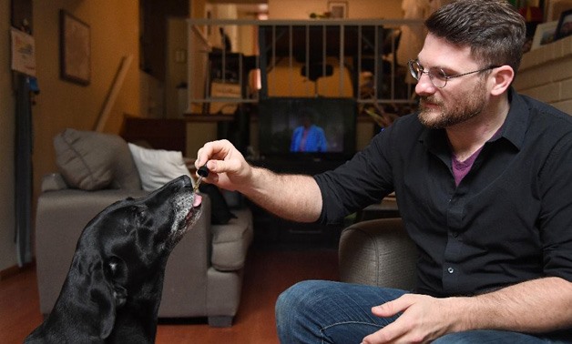 Brett Hartman gives his dogs Cayley, a six-year-old-Labrador Retriever drops of a cannabis based medicinal tincture to treat hip pain and anxiety -AFP/Robyn Beck