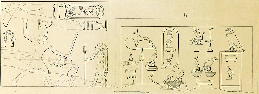 ش