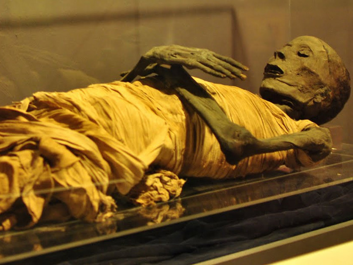 royal mummies 5
