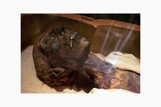 royal mummies 1