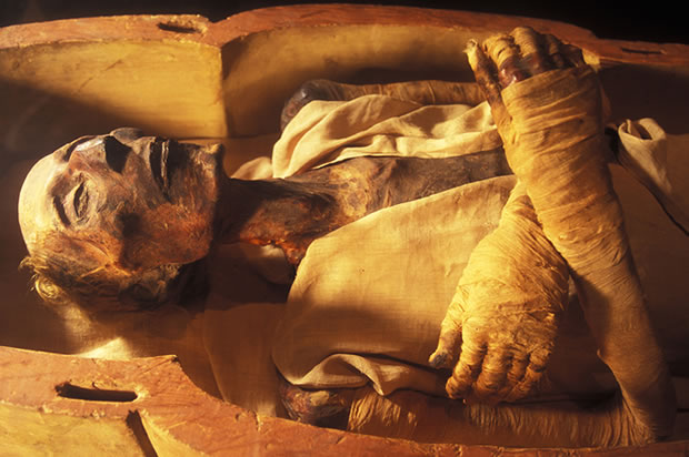 royal mummies 3