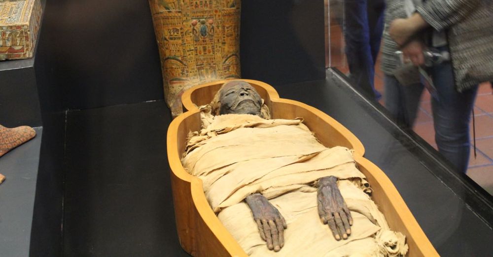 royal mummies 2