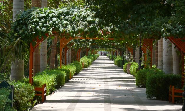 تستعد حديقة النباتات المصرية بأسوان لاستقبال الزوار خلال عيد الأضحى المبارك