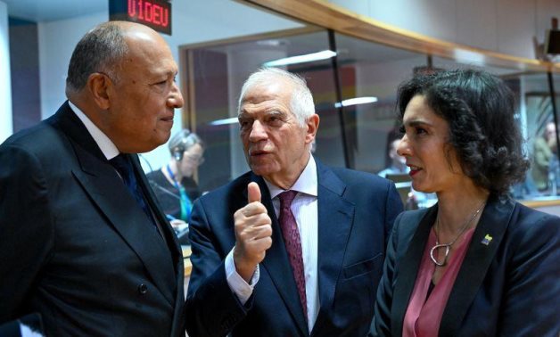 Egyptian FM stresses importance of boosting economic cooperation with EU