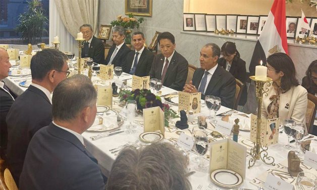 Egypt’s FM meets with several Japanese ministers and senior officials
